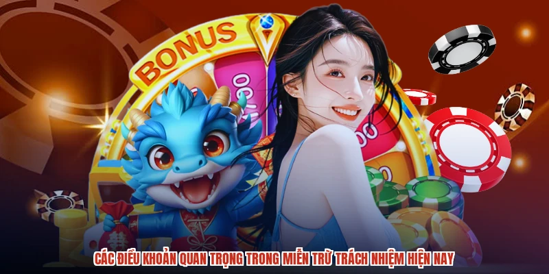 Các điều khoản quan trọng trong miễn trừ trách nhiệm hiện nay
