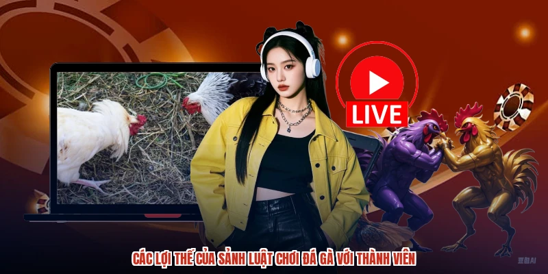 Các lợi thế của sảnh luật chơi đá gà với thành viên