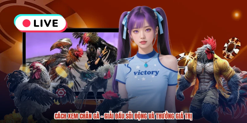 Cách Xem Chân Gà - Giải Đấu Sôi Động Và Thưởng Giá Trị