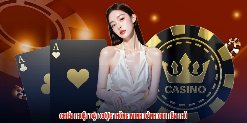 Chiến thuật đặt cược thông minh dành cho tân thủ
