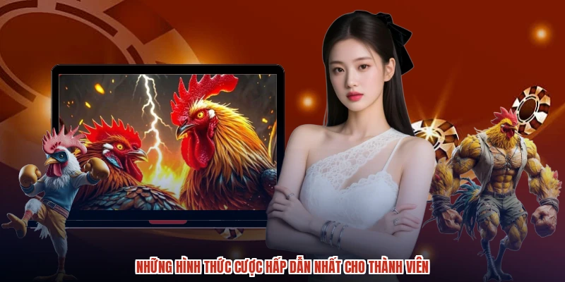Những hình thức cược hấp dẫn nhất cho thành viên