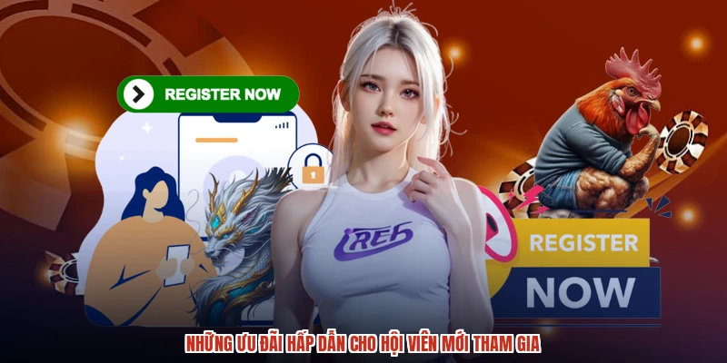 Những ưu đãi hấp dẫn cho hội viên mới tham gia