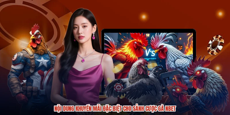 Nội dung khuyến mãi đặc biệt cho sảnh cược gà NBET