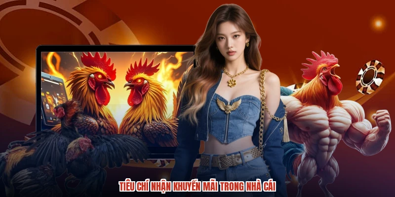 Tiêu chí nhận khuyến mãi trong nhà cái