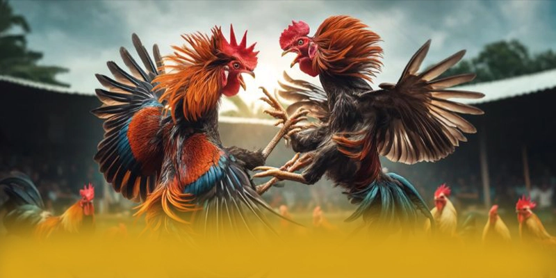 W88 - Nhà cái cung cấp hàng trăm tựa game đẳng cấp trên thị trường