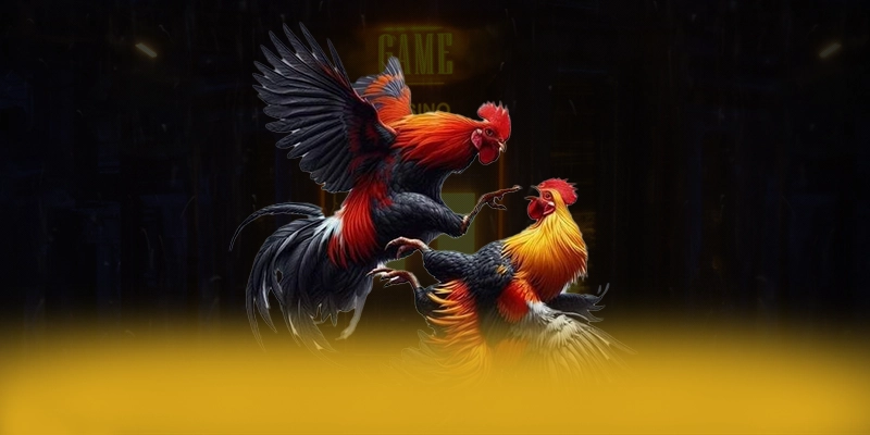 Hệ thống chăm sóc khách hàng tại [THUONG_HIEU]